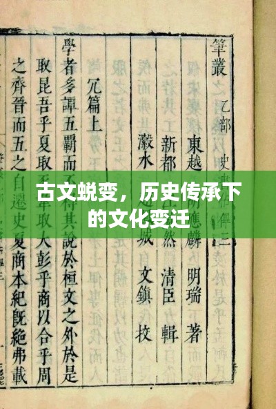 眼空四海