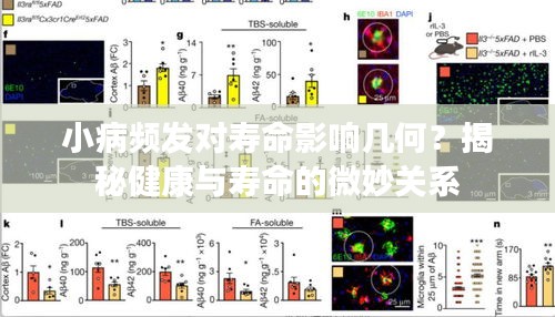 小病频发对寿命影响几何？揭秘健康与寿命的微妙关系