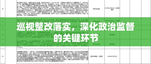 巡视整改落实，深化政治监督的关键环节