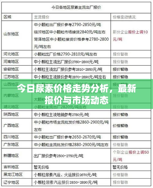 今日尿素价格走势分析，最新报价与市场动态