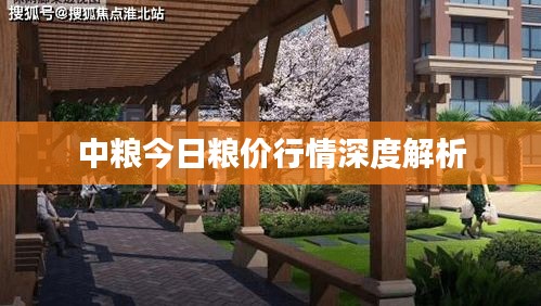 中粮今日粮价行情深度解析