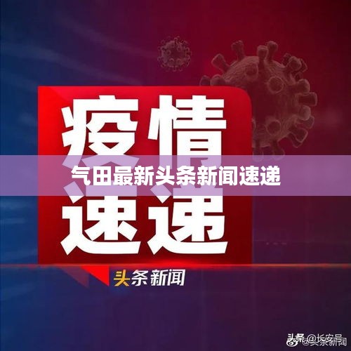 参考资料大全 第16页