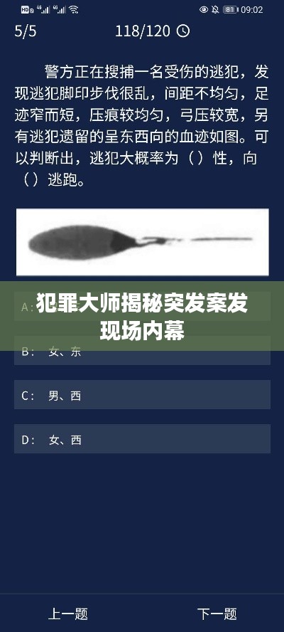 候鸟南飞