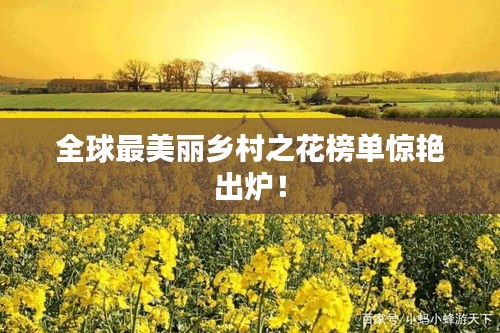 在线留言 第12页