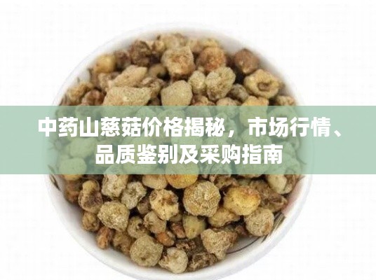避雷针 第10页