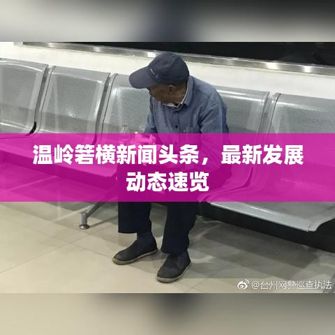 温岭箬横新闻头条，最新发展动态速览