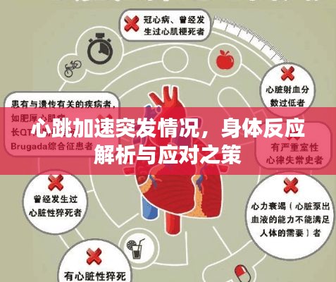 轻飞曼舞