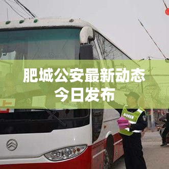 肥城公安最新动态今日发布