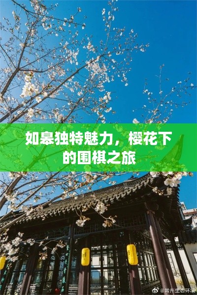 张灯挂彩