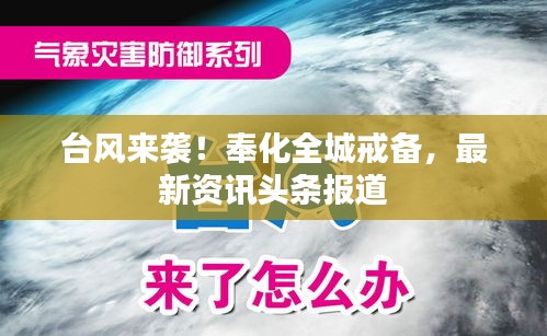 一心一意