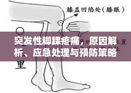 鸟惊鱼骇