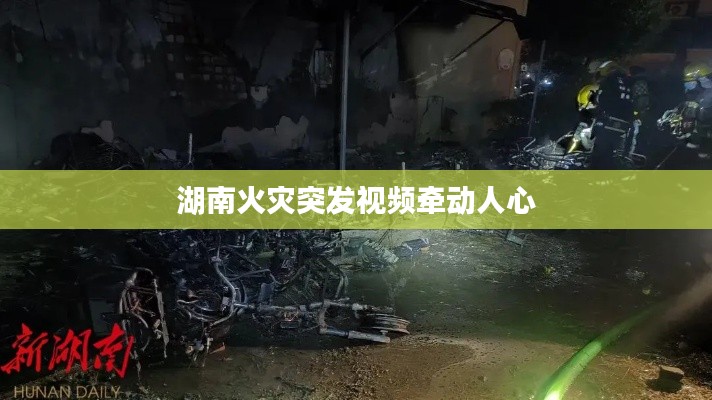 飞红滴翠