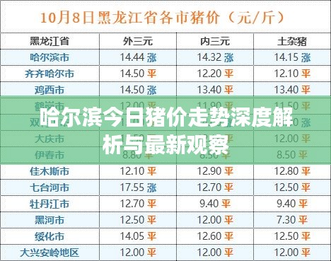 参考资料大全 第8页
