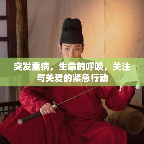 敷衍了事