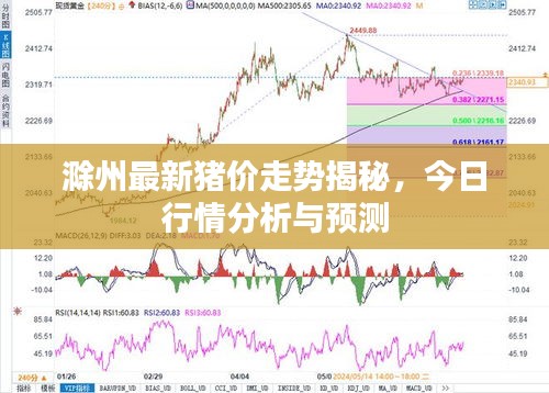 滁州最新猪价走势揭秘，今日行情分析与预测