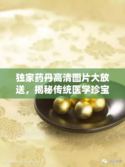飞箭如蝗