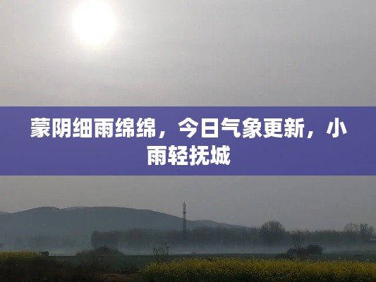 避雷针 第5页