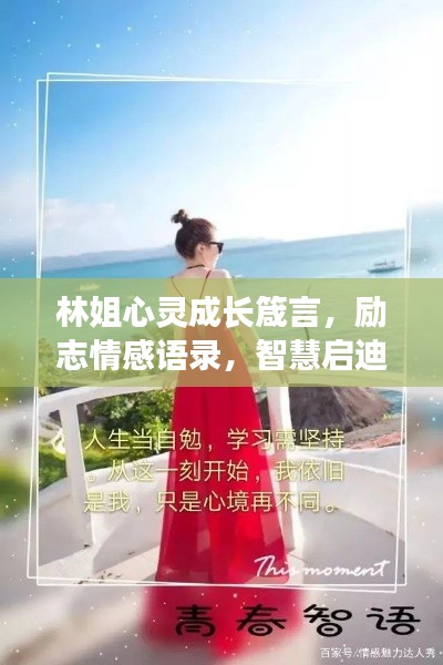 攀高结贵