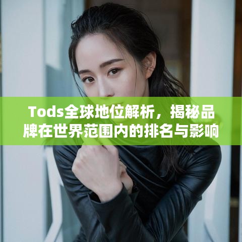 Tods全球地位解析，揭秘品牌在世界范围内的排名与影响力