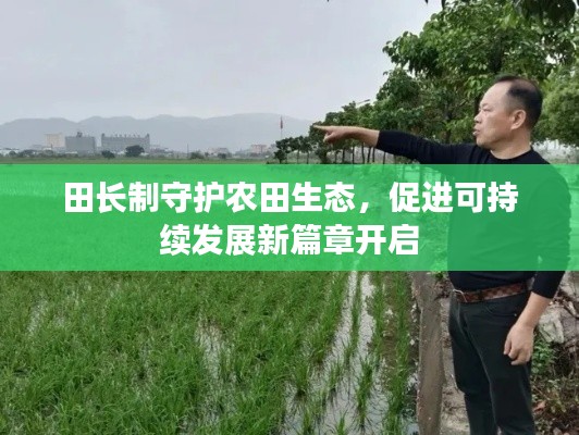 新闻资讯 第9页
