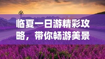 七贵三公