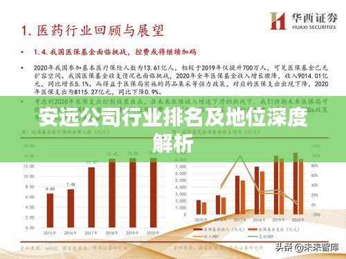 安远公司行业排名及地位深度解析