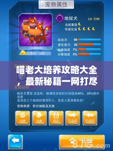 喵老大培养攻略大全，最新秘籍一网打尽！