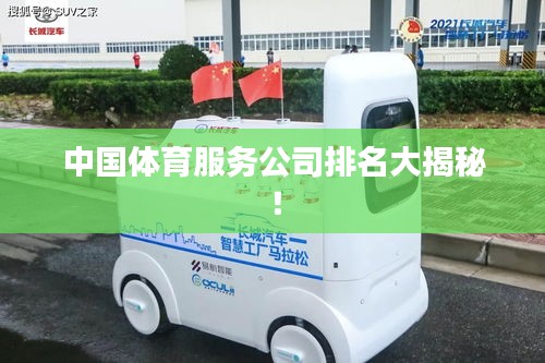 中国体育服务公司排名大揭秘！