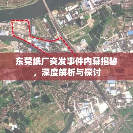 东莞纸厂突发事件内幕揭秘，深度解析与探讨
