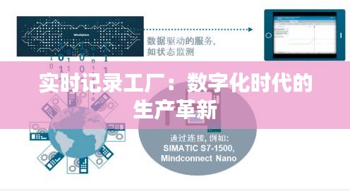 鸟吏鳖官 第3页