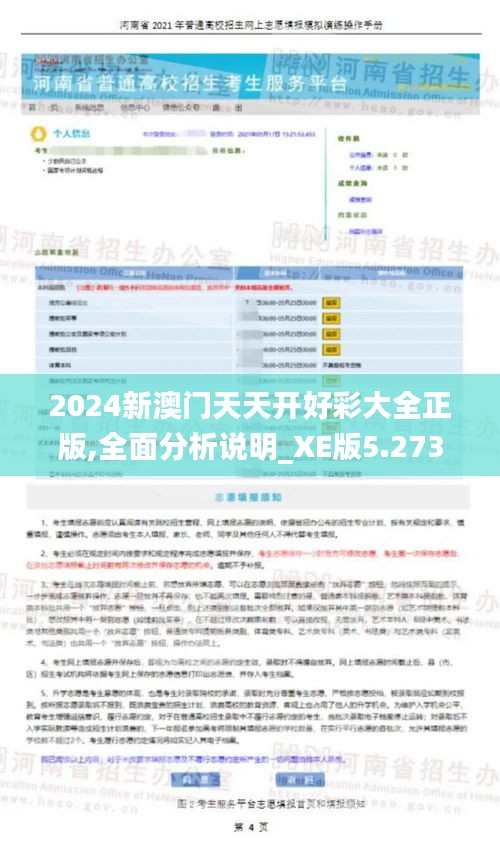 2024新澳门天天开好彩大全正版,全面分析说明_XE版5.273