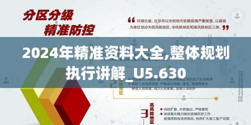 2024年精准资料大全,整体规划执行讲解_U5.630