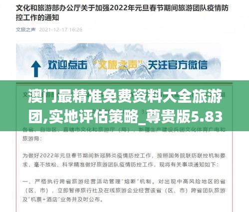 澳门最精准免费资料大全旅游团,实地评估策略_尊贵版5.838
