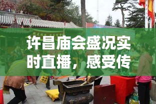 屈高就下 第3页