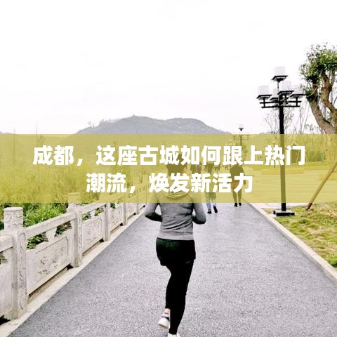 一石三鸟