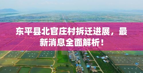 东平县北官庄村拆迁进展，最新消息全面解析！