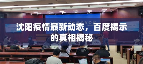沈阳疫情最新动态，百度揭示的真相揭秘