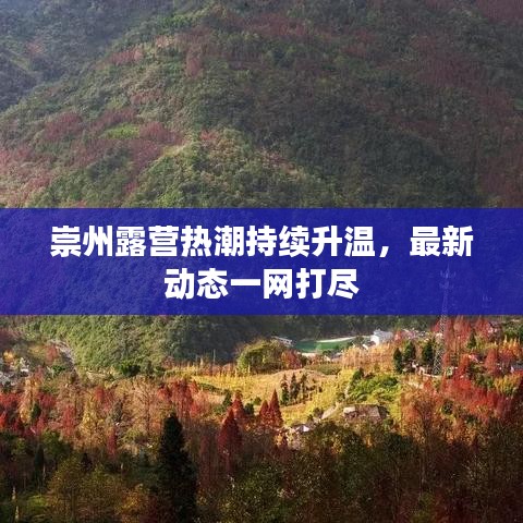 公司简介 第7页