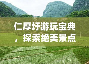 仁厚圩游玩宝典，探索绝美景点，体验地道风情！