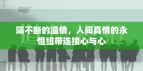 隔不断的温情，人间真情的永恒纽带连接心与心